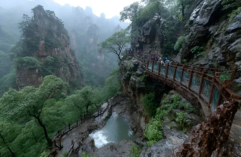 Hunan VIP International Travel Agency Co., Ltd.