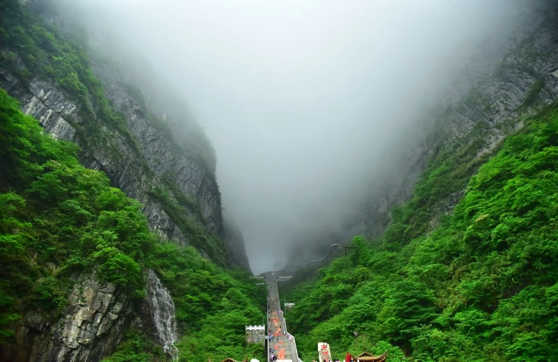 Hunan VIP International Travel Agency Co., Ltd.