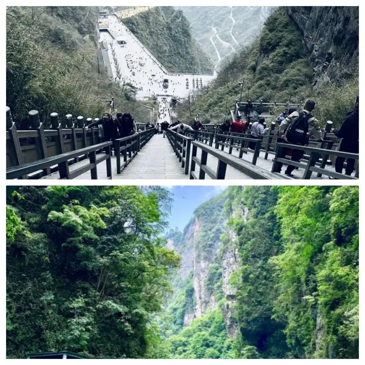 图片3.webp