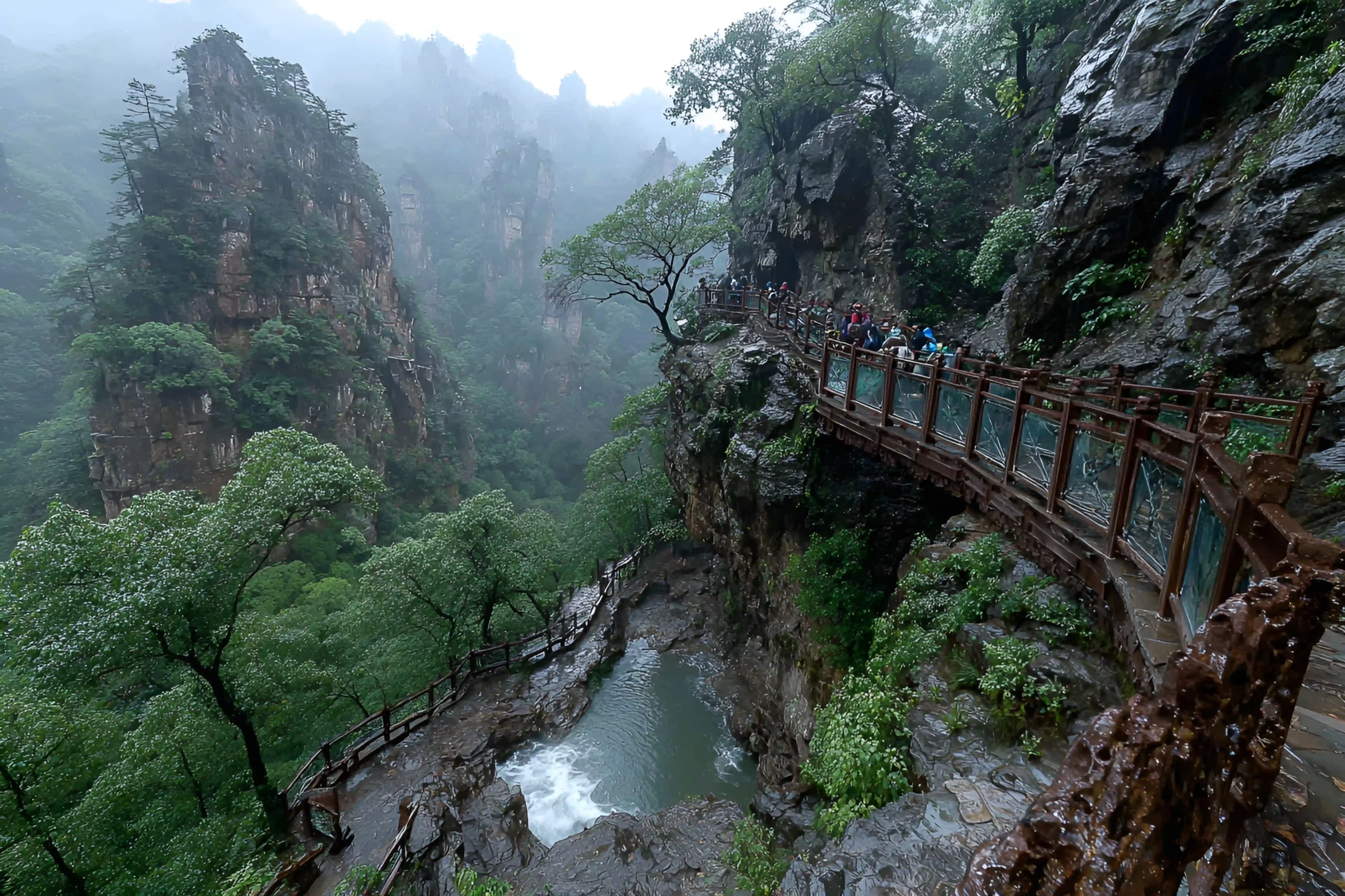 Hunan VIP International Travel Agency Co., Ltd.