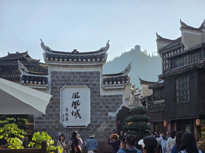 Hunan VIP International Travel Agency Co., Ltd.