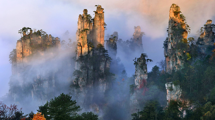 Hunan VIP International Travel Agency Co., Ltd.