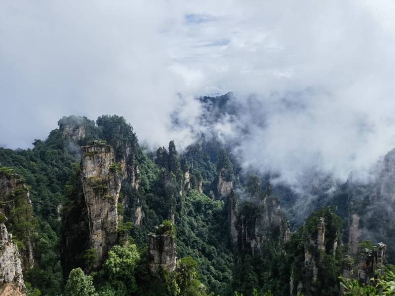 Hunan VIP International Travel Agency Co., Ltd.