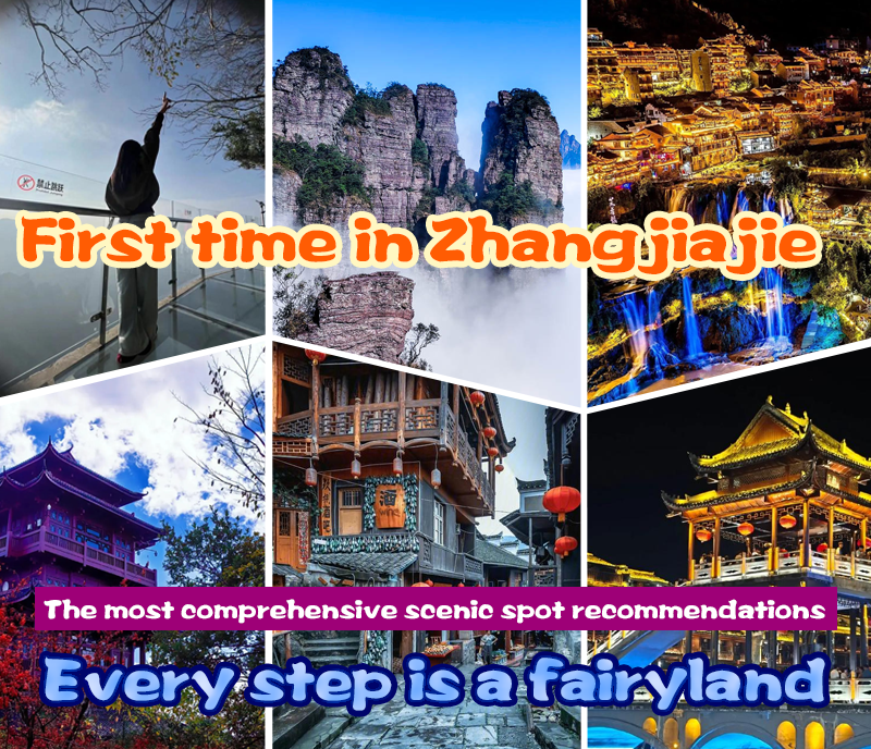 Hunan VIP International Travel Agency Co., Ltd.