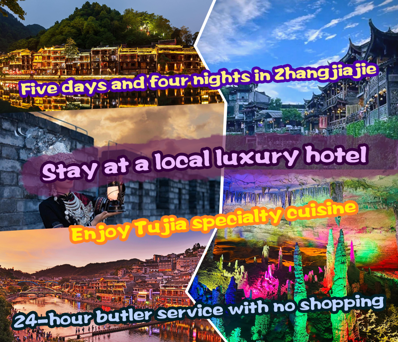 Hunan VIP International Travel Agency Co., Ltd.