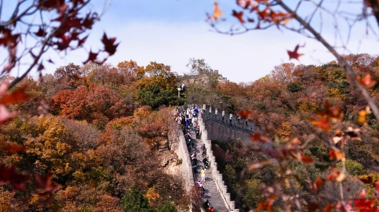 6D5N · Private Tours · Discover the Palace Museum, Badaling Great Wall, Temple of Heaven, Summer Palace and enjoy fun at Universal Beijing Resort