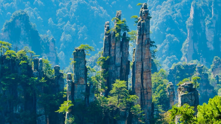 Hunan VIP International Travel Agency Co., Ltd.
