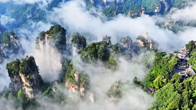 4D3N · Private Tours · Zhangjiajie National Forest  Park, Tianmen Mountain